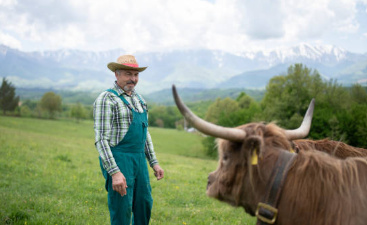 Selecting the Best Team